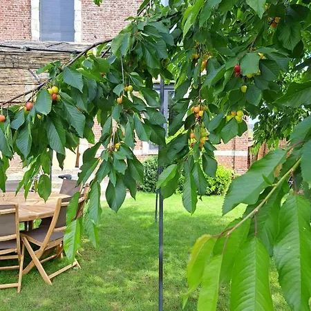 Feriehus Maison De A La Campagne Avec Piscine 
